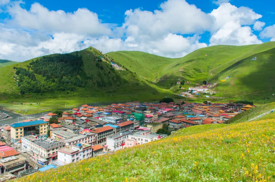 春季自驾指南｜这5条线路每到四五月份，一路风景美上天