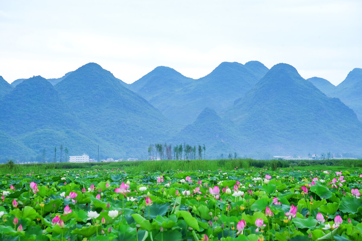 适合初夏旅行的6个地方，看到第一个就想出发