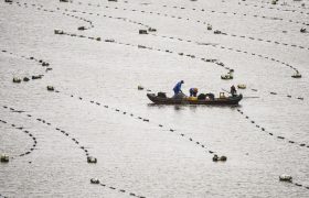 从西湖到北海，在福建霞浦玩沙滩、航拍，美丽的海岸公路