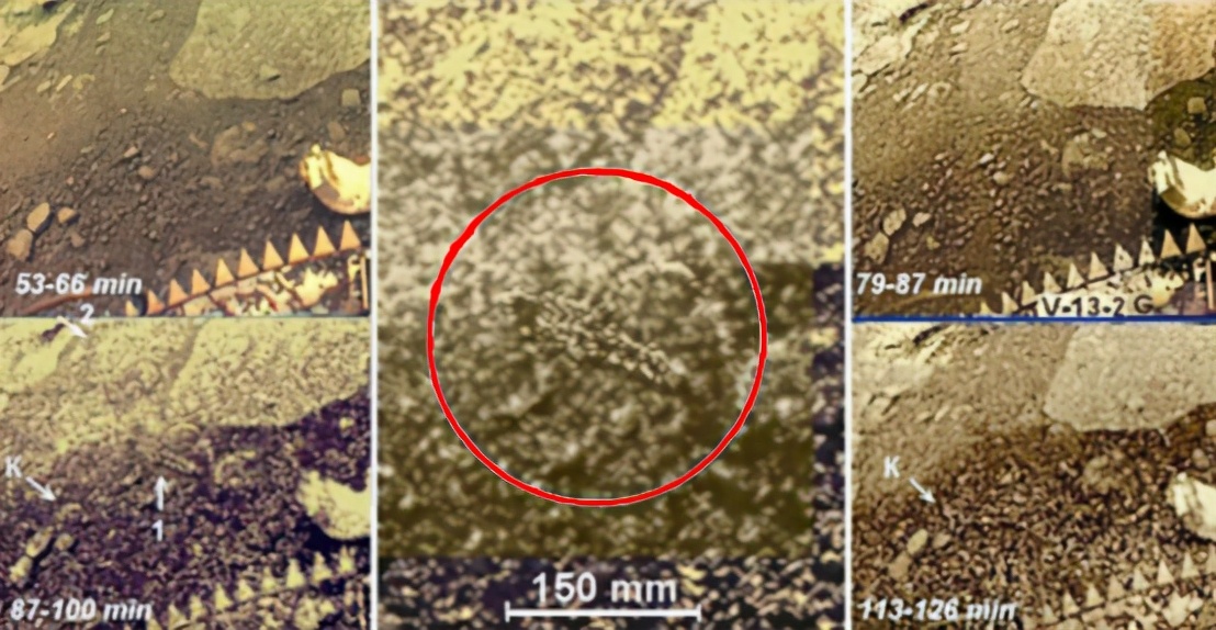 金星上曾被拍到诡异照片，地表出现移动的物体，引起科学界轰动