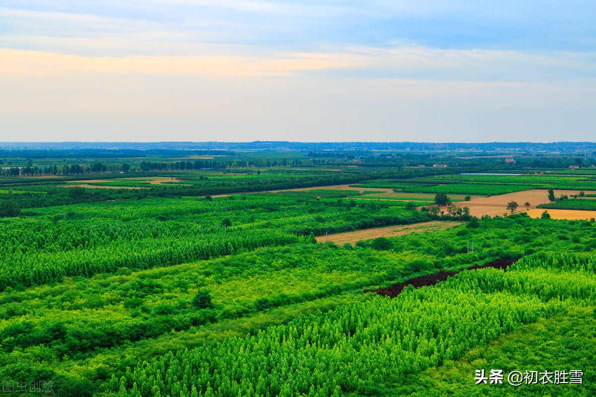 夏诗八首，触摸蓬勃的夏，溯源夏天，夏朝，立夏，夏人与夏之美