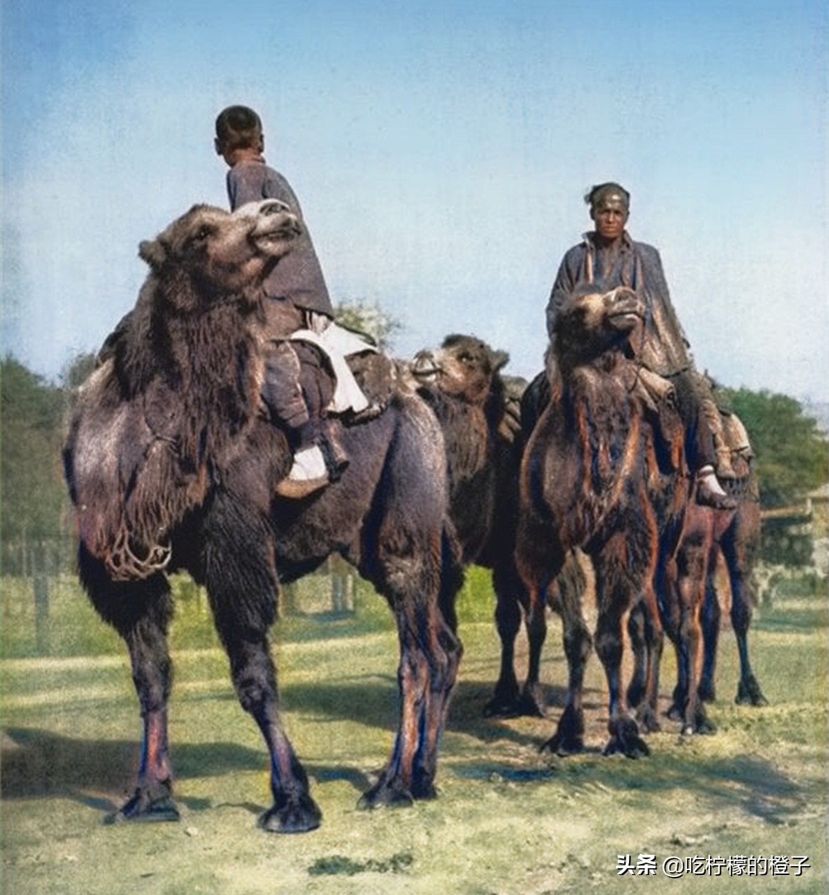 老照片：美国人镜头下1920年的北京，100年前古色古香的燕京古都