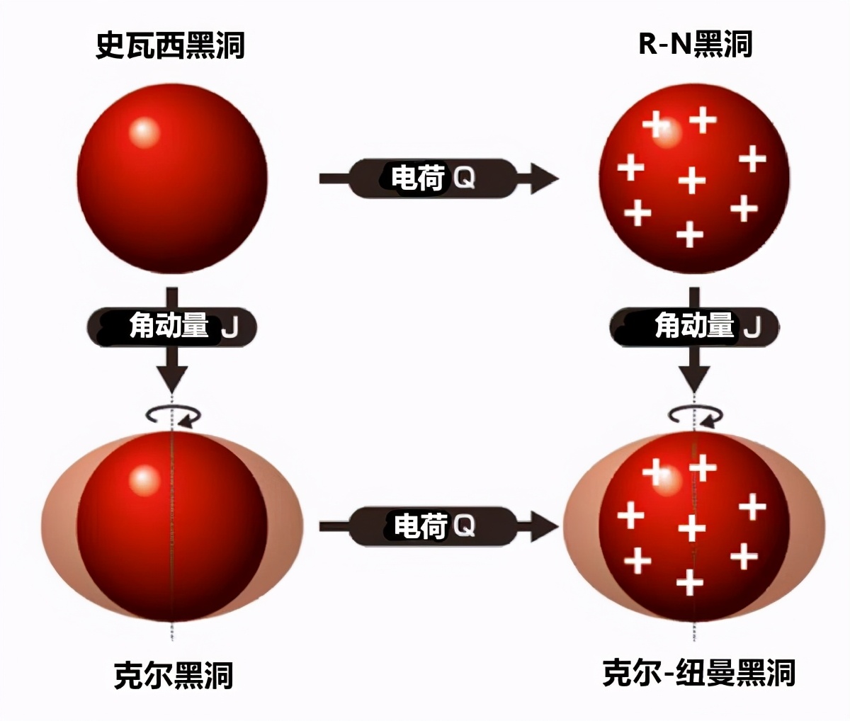 黑洞、白洞和虫洞是什么？哪个最奇特？