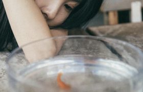 《你的婚礼》上映，章若楠抹胸亮片裙眼里都是故事，看着还是心疼