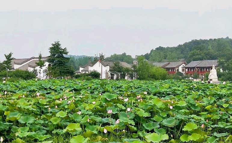 河南最适合自驾的四大景区：停车方便、人少好玩！全部免门票