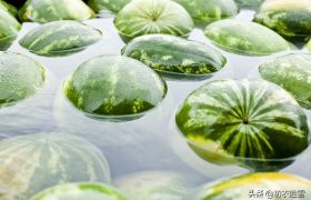 舌尖上的盛夏七首：我有浮瓜沉李约，沉李浮瓜冰雪凉