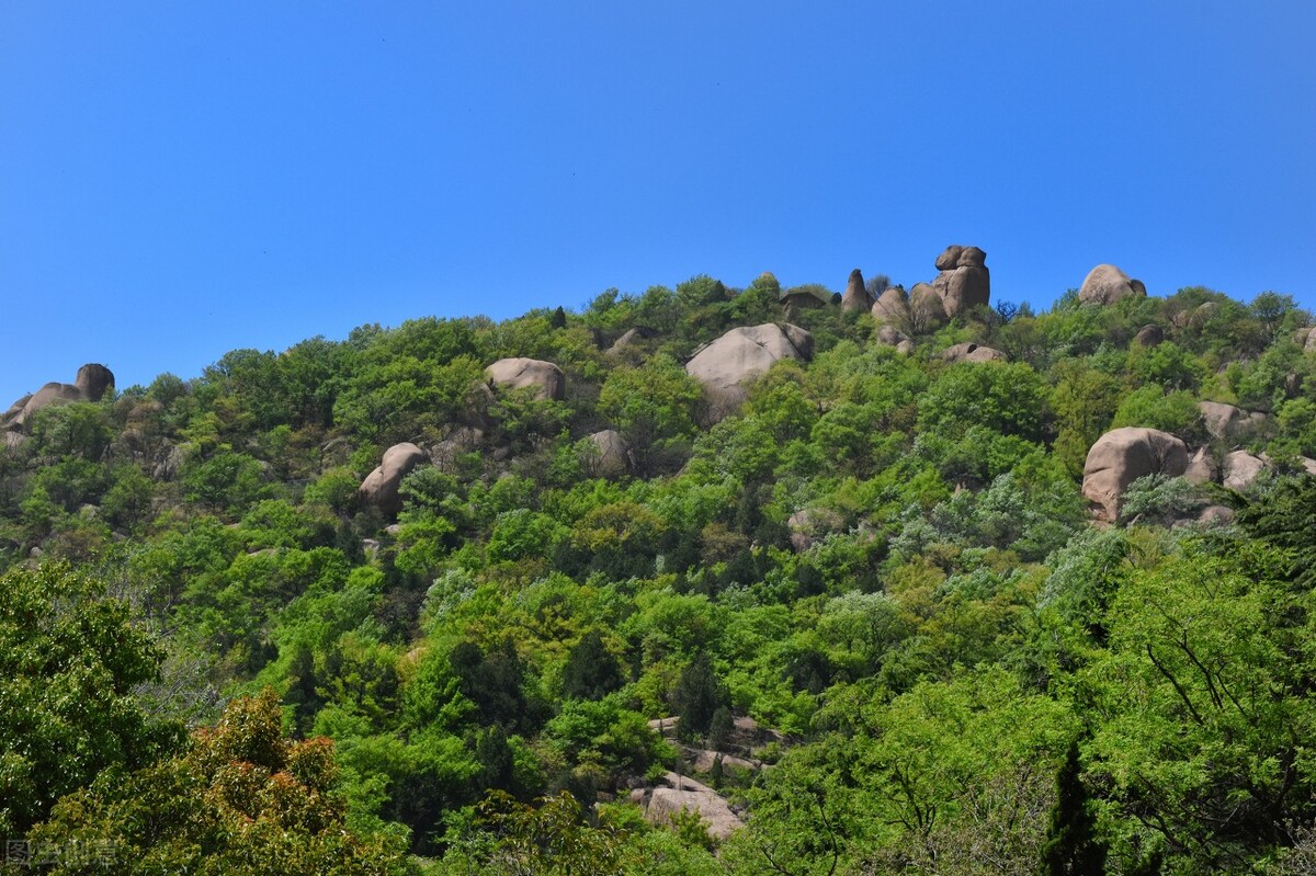 河南不得不去的十大旅游景点