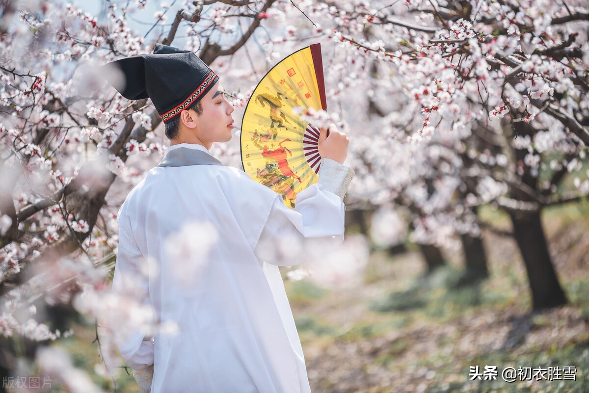 端午葛衣诗词九首：细葛含风软，香泛葛衣轻，清风吹葛衣