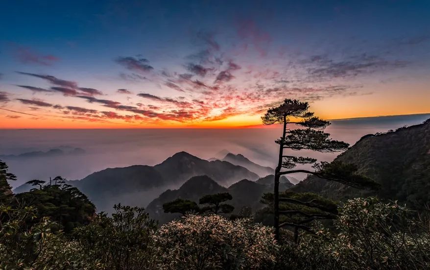 来三清山，过一个21℃的夏天吧