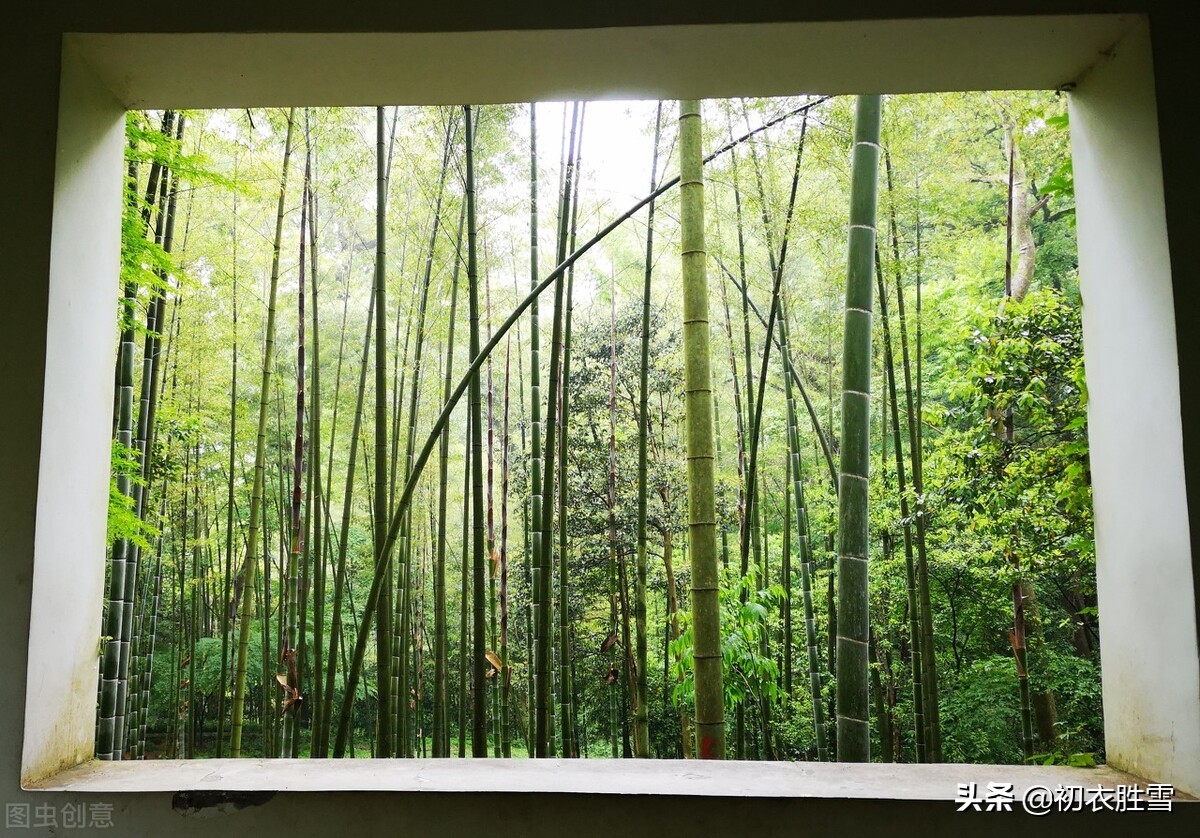 竹里清凉，夏日竹诗七首，坐销三伏景，水拥竹千竿