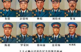 毛主席对十大元帅的经典评语是什么？共和国元帅又是哪年逝世的