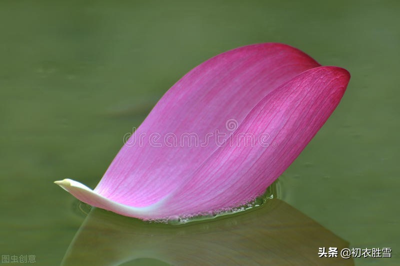 明朝诗人杨基，用荷花来解读李商隐，一瓣芙蕖是彩舟