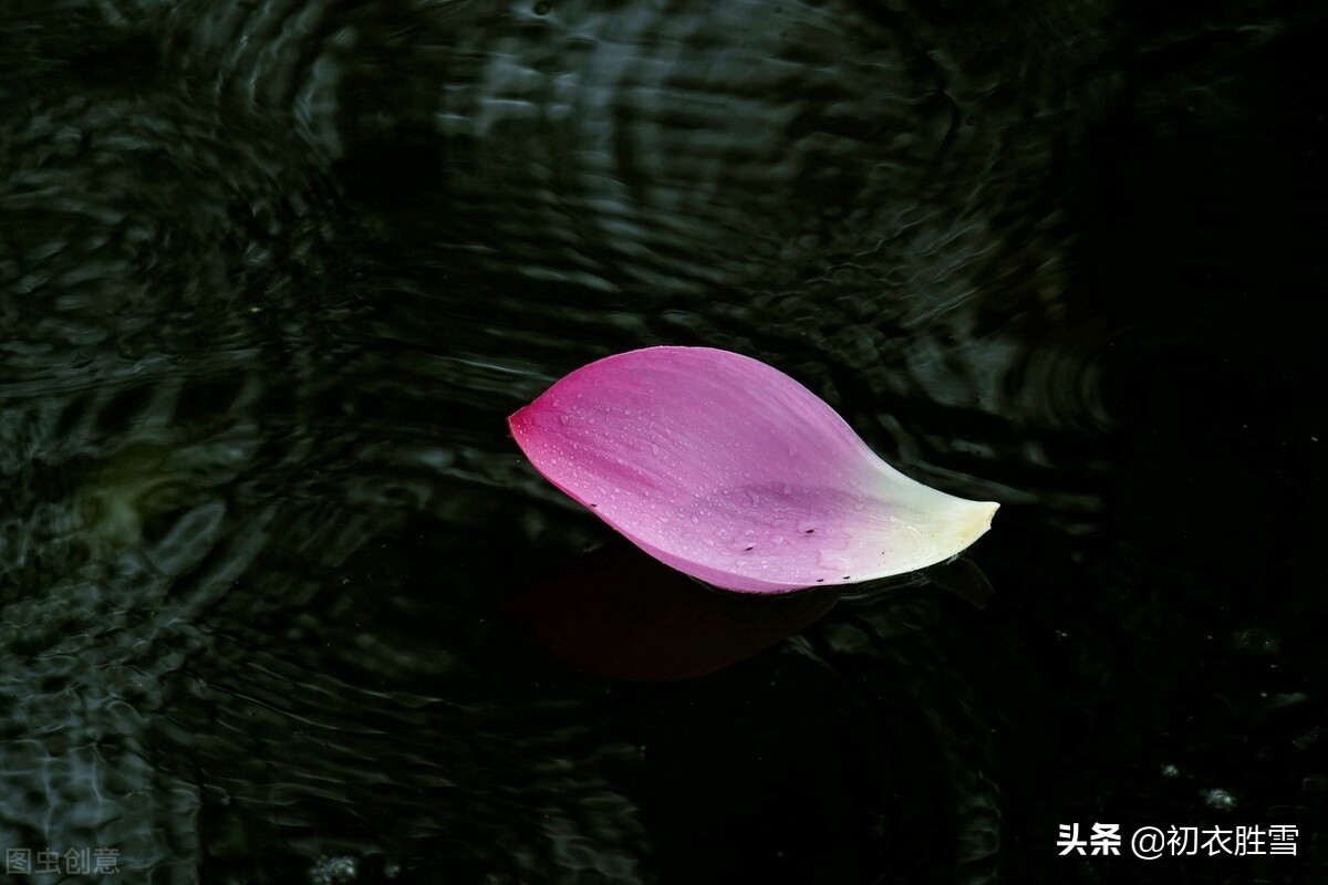 明朝诗人杨基，用荷花来解读李商隐，一瓣芙蕖是彩舟