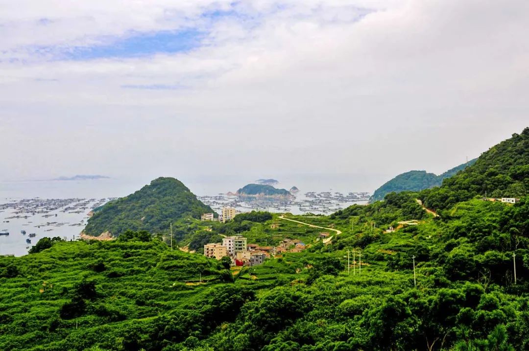 超实用的夏日避暑地推荐，一个赛一个凉爽，去了就不想回