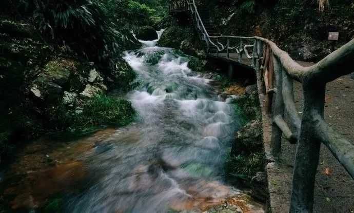 来丽水，过一段闲云野鹤的生活