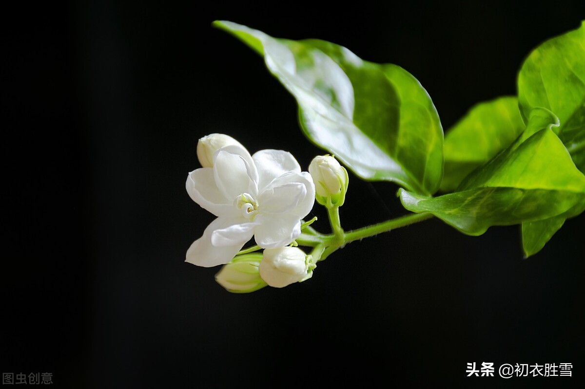 早秋秋雨美诗五首赏读：江湖经一雨，日月换新秋