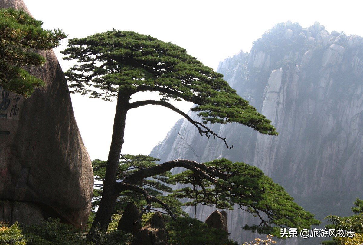 中国十大名山，到底是怎么评选的？你心中的名山是哪座？