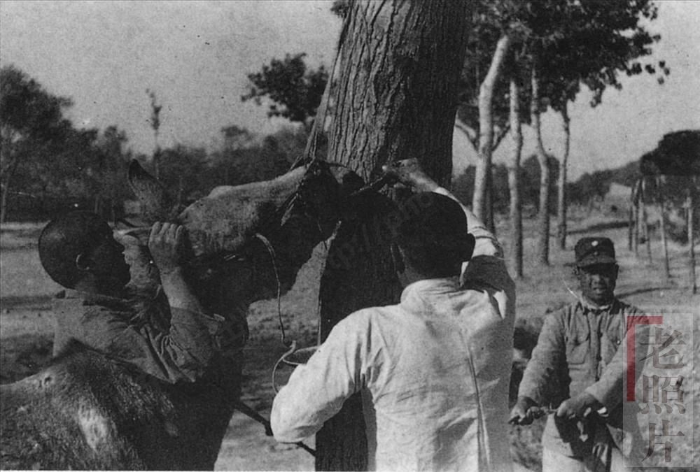 老照片：1930年代的山东聊城