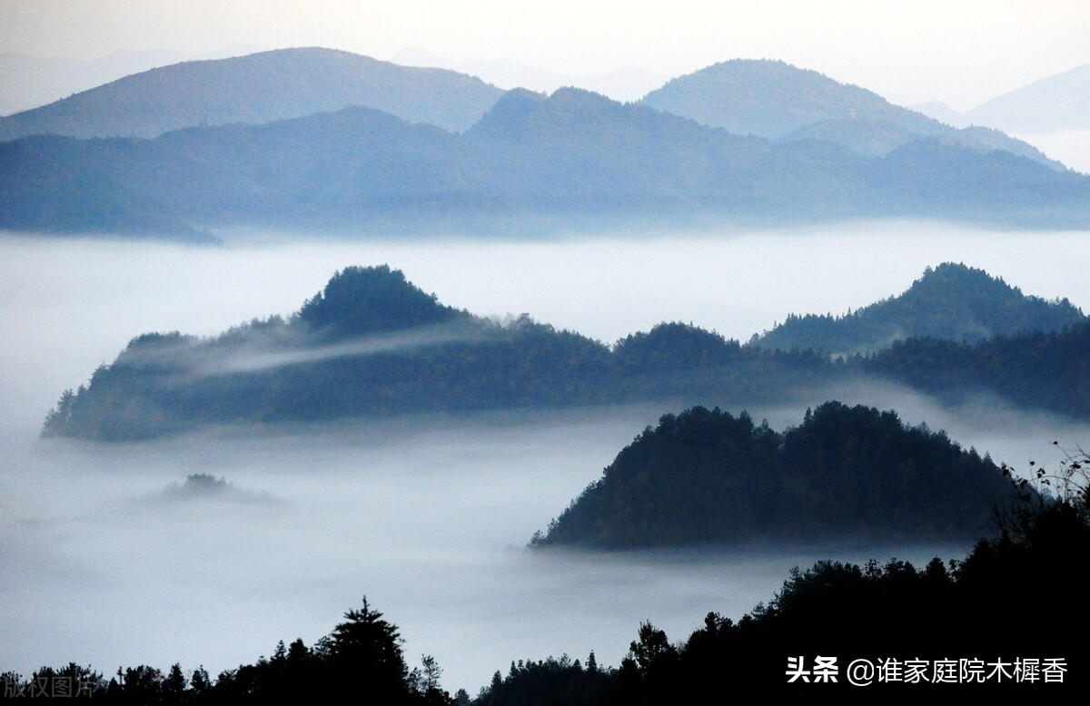 严谨的司马光，也有侠骨柔情的一面。他写过两首婉约词，清新脱俗