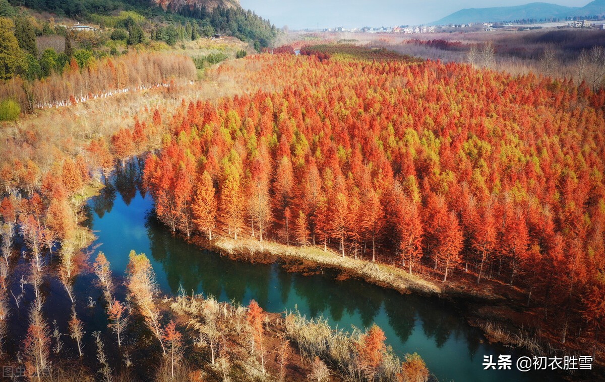 晏殊两首晚秋词：远村秋色如画，红树间疏黄