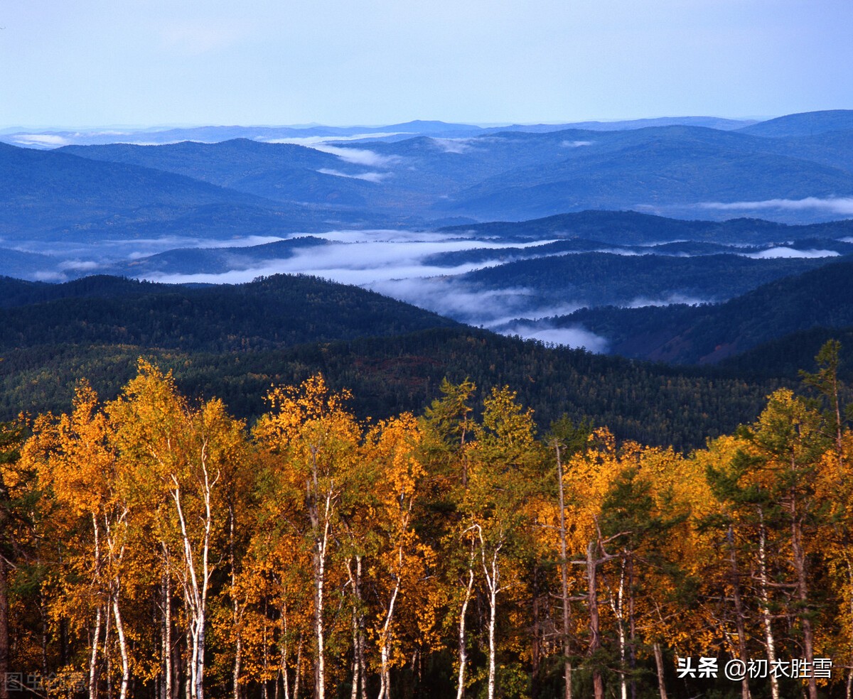 晚秋明丽秋山七首：谁道秋山不宜客，柿叶枫林别样春