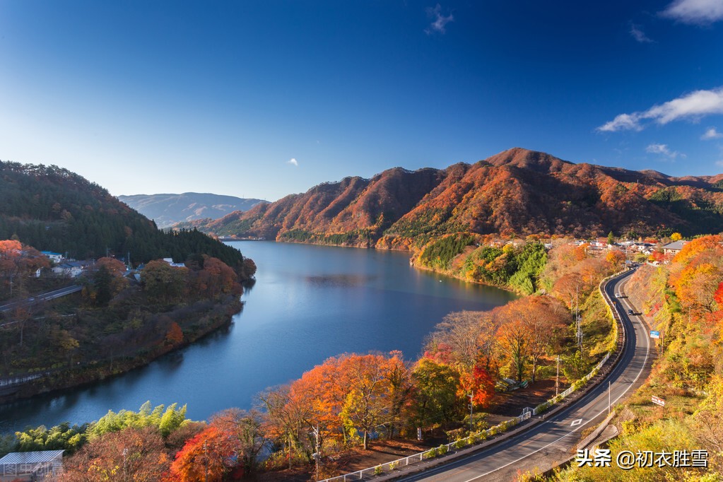 明快晴秋美诗五首：斜阳晒黄叶，白云同鹤飞