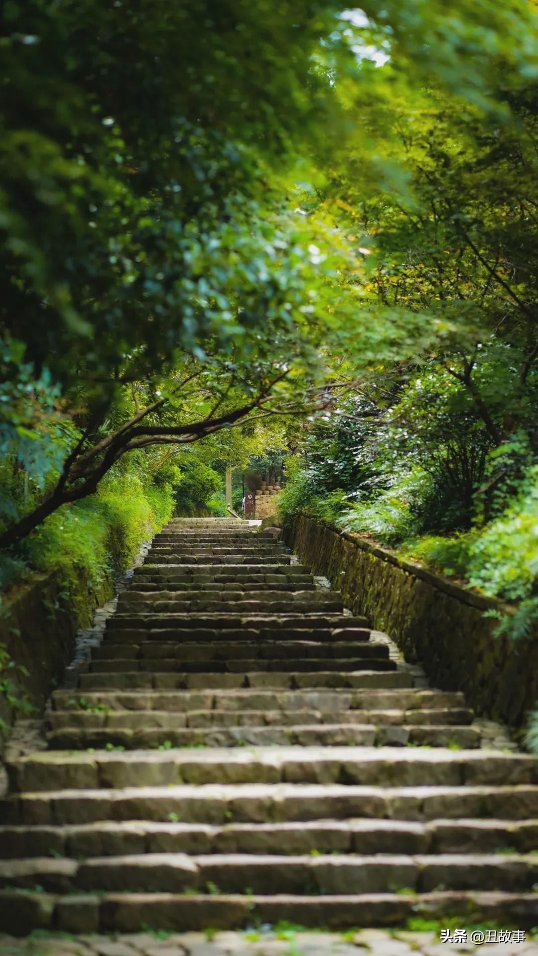 离职后，我去了杭州的五个寺庙