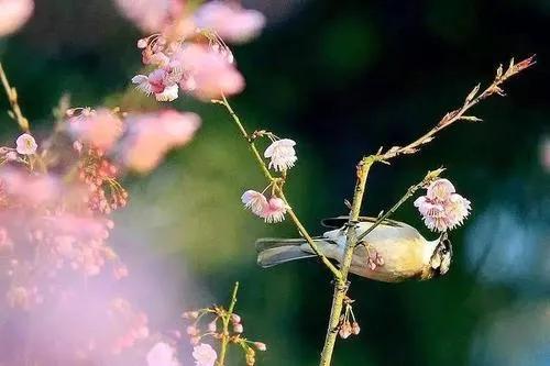 总有一首诗，让你无惧风雨，心生温暖