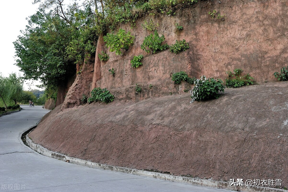 苏轼初冬的赤壁游，写了一句风景，却成了大家经常用到的成语