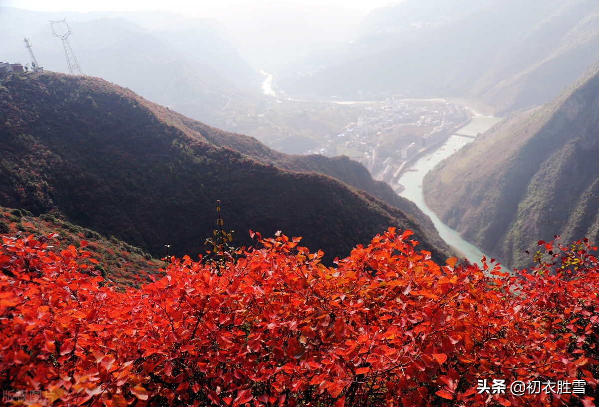 晚秋落木感怀诗词五首，无边落木，都是大气感人的家国人生情怀