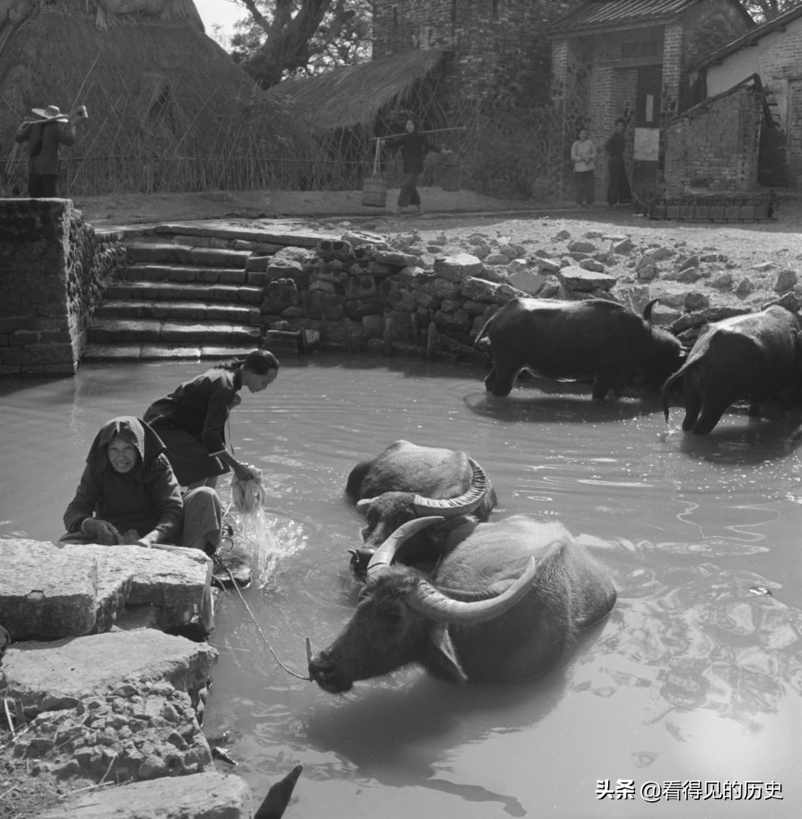 老照片 1955年的广州是什么样子 一组老照片带您去看看