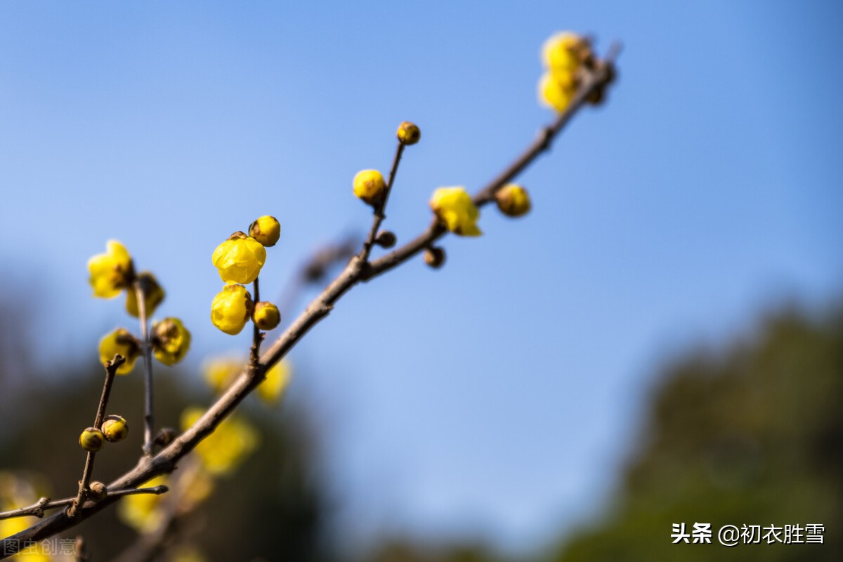 冬天的太阳被称为“爱日”，爱日温温，你知道典故吗？