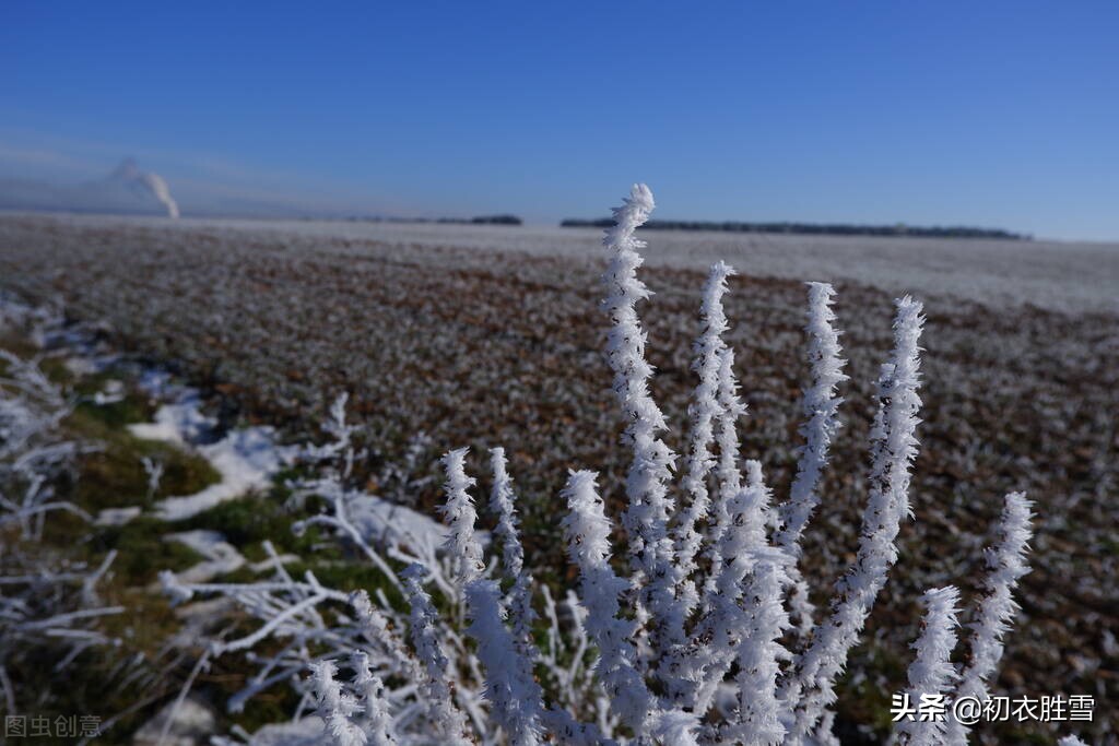 赏读待雪古诗五首：欲把诗催雪，待取玉花看