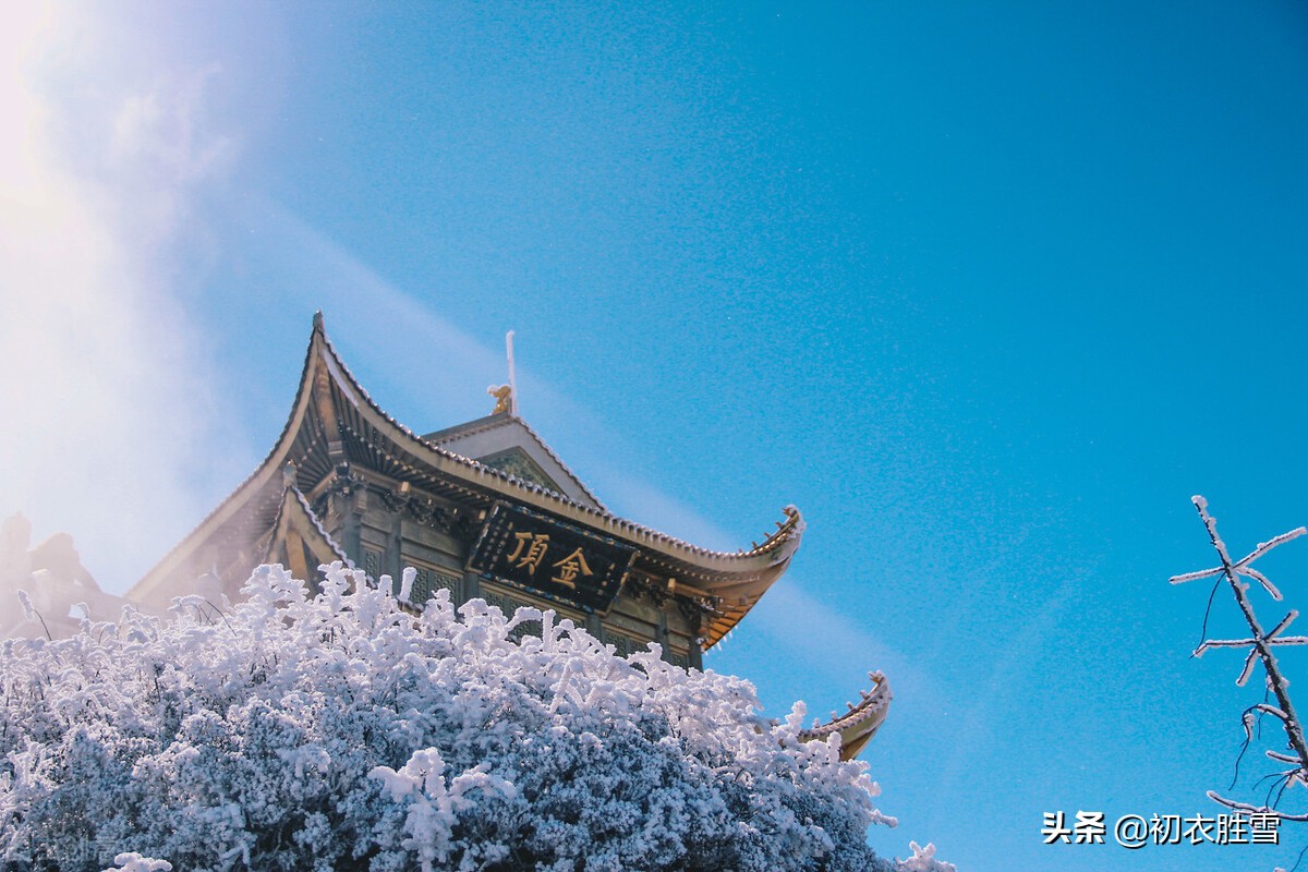 李商隐无题雪诗两首赏读，谁在枯条撼雪，谁又云浆未饮？