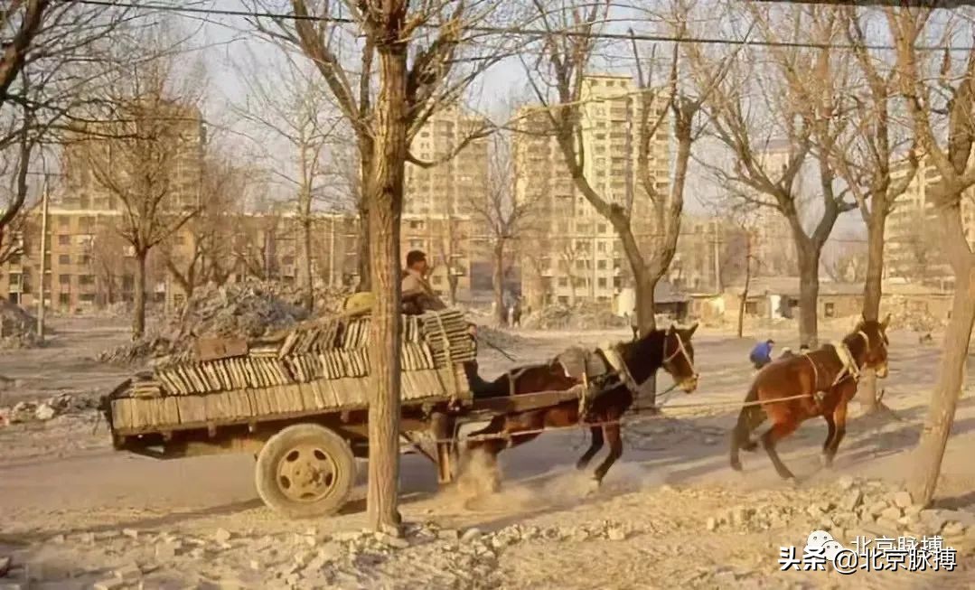 画说丨500张老照片带您穿越，从晚清到新中国的北京人文风景