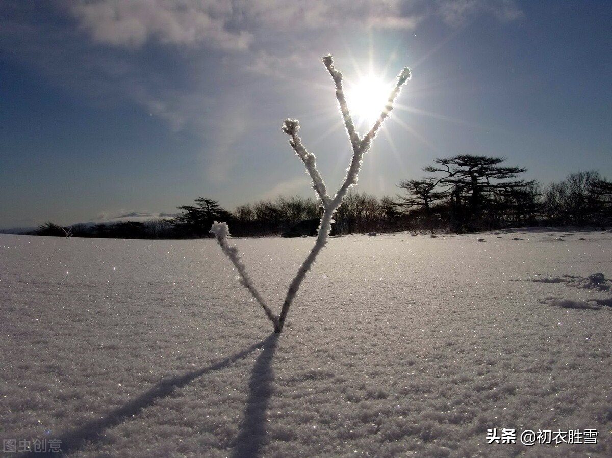 ​冬至节气哲理诗六首赏析：今年初尽处，明日未来时