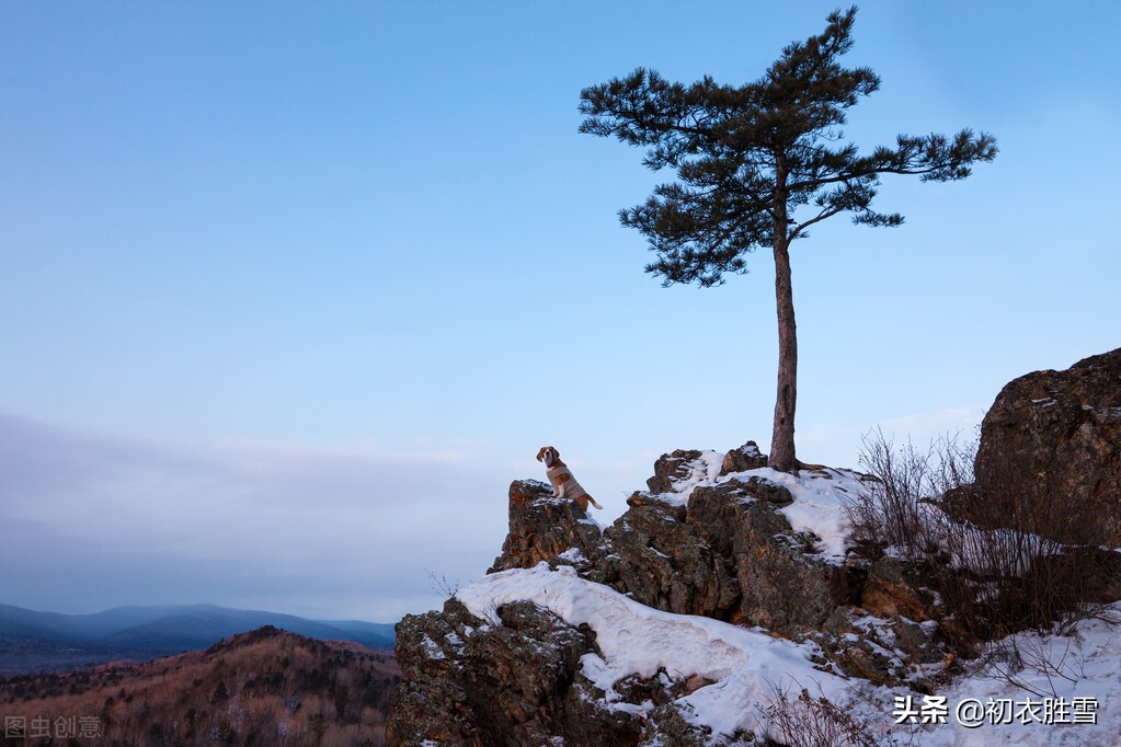 冬至必读爱国古诗两首：江山乏小草，霜雪见孤松