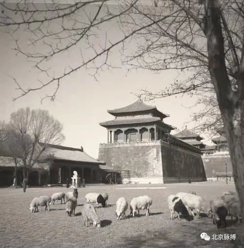 画说丨500张老照片带您穿越，从晚清到新中国的北京人文风景