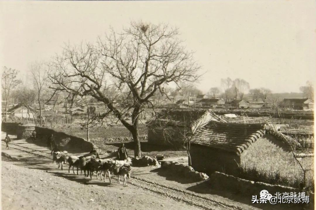 画说丨500张老照片带您穿越，从晚清到新中国的北京人文风景