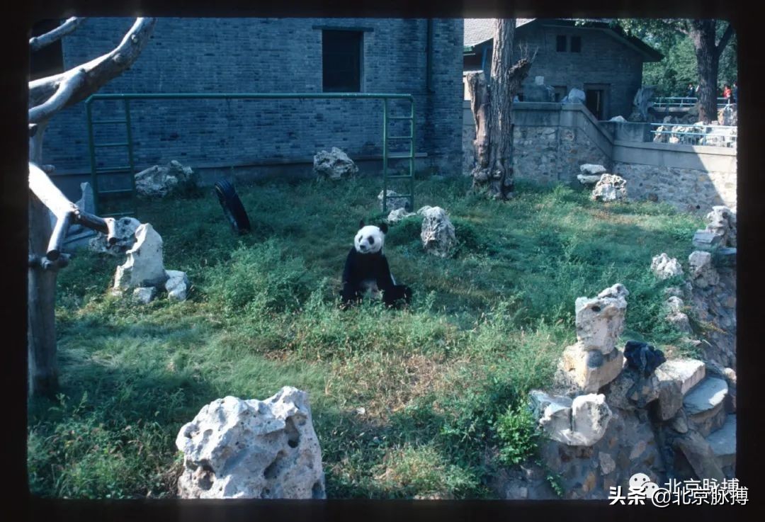 画说丨500张老照片带您穿越，从晚清到新中国的北京人文风景