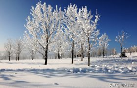 雪晴美诗五首：气动千峰翠，光浮万瓦鳞