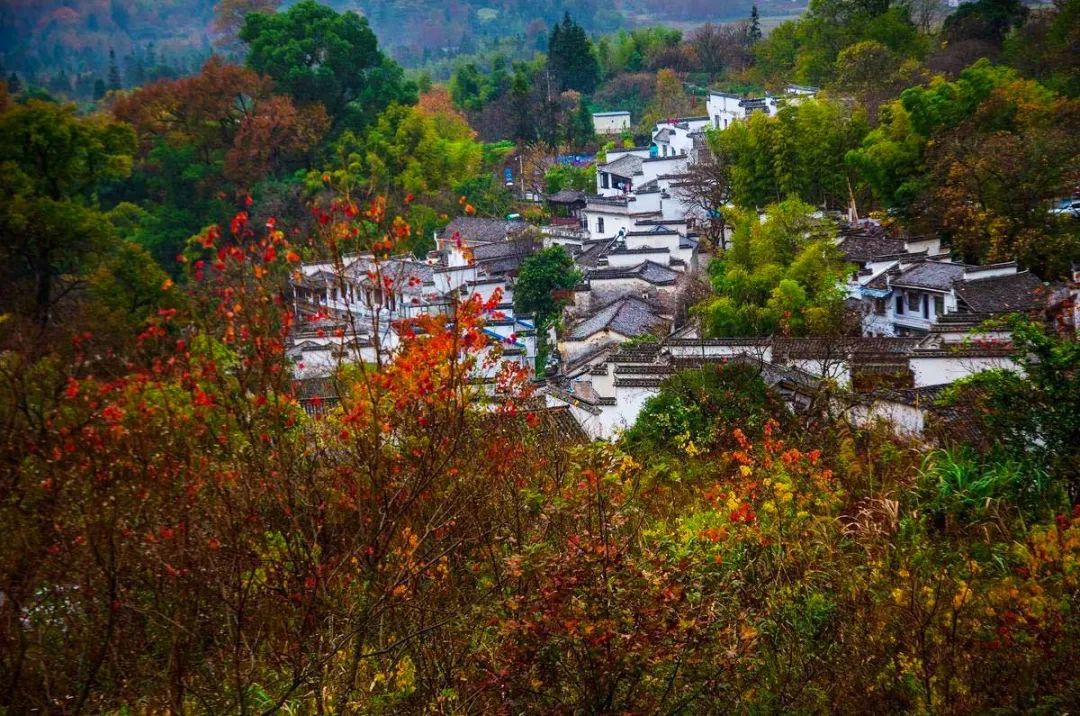 这20个旅行风景地，一个比一个适合拍照，第一个就让人心动