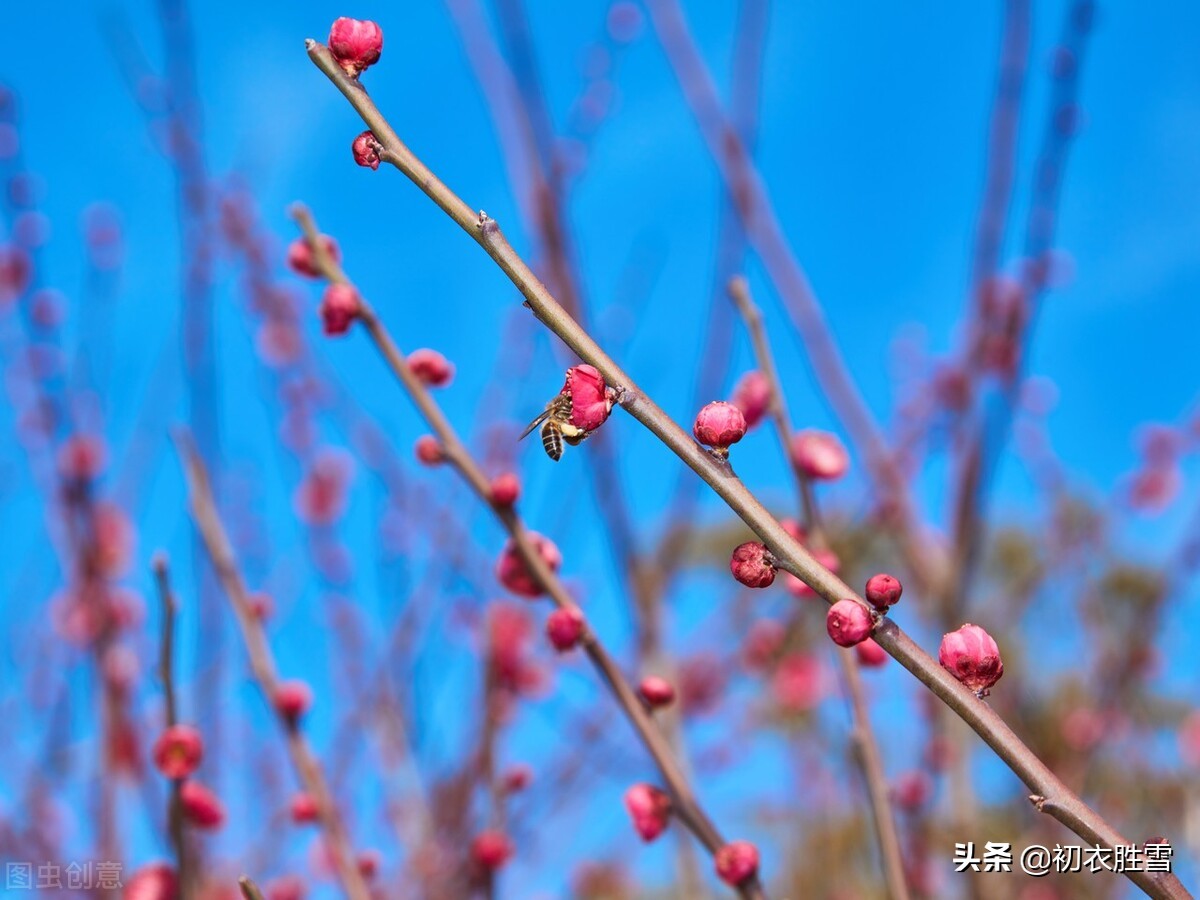 ​冬至节气哲理诗六首赏析：今年初尽处，明日未来时