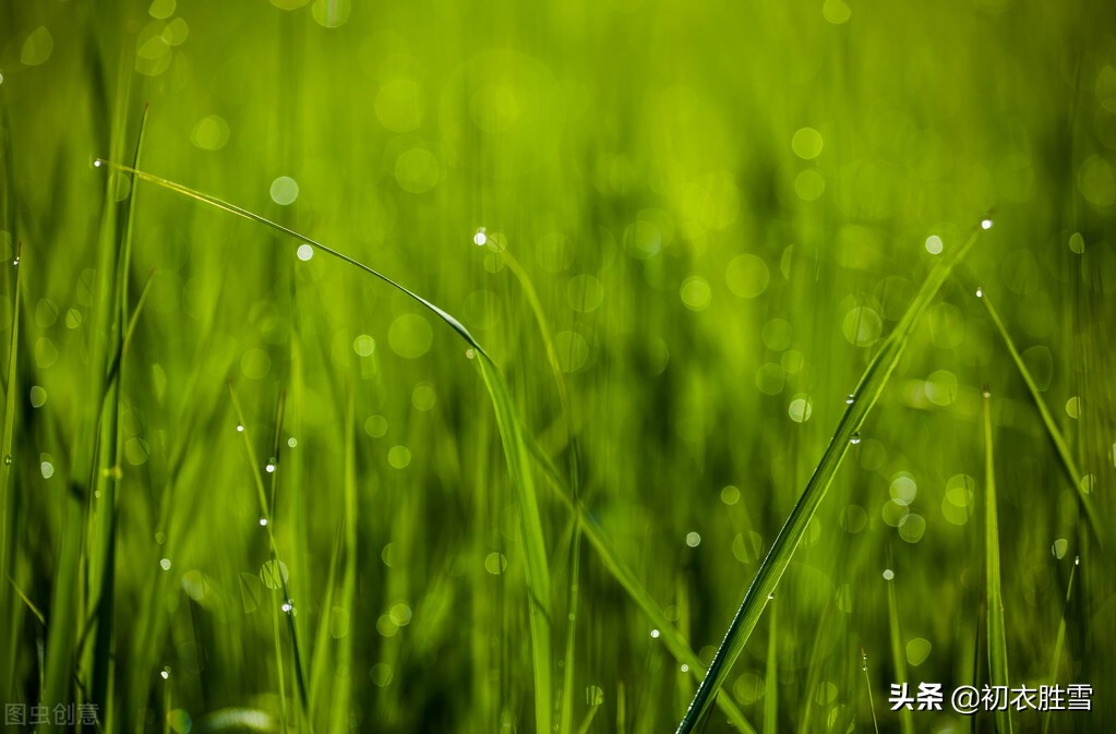 黄景仁感旧两首：别后相思空一水，旧逐空香百遍行