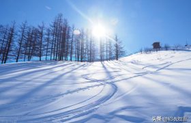 迎接仲冬，仲冬有节气大雪冬至，更有回归的太阳和向阳的梅花