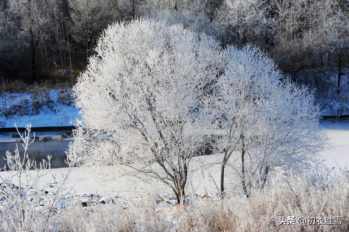 唯美春雪唐诗七首：春雪满空来，触处似花开