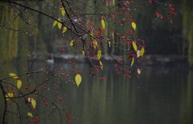 散文｜耿立：乡间的雨