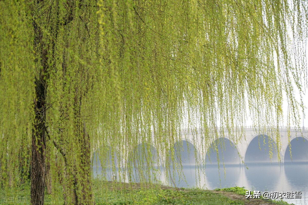 晏几道早春情词两首：花信来时，恨无人似花依旧