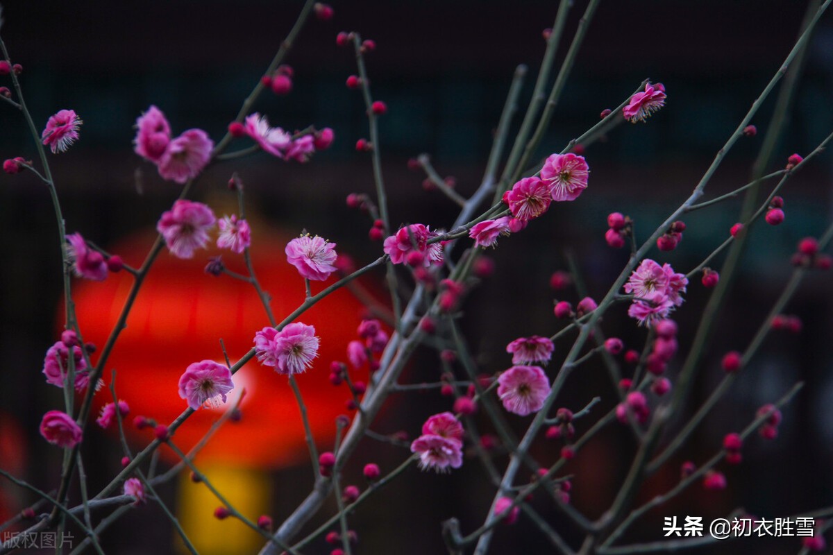 诗词六首，看看宋朝的正月十四试灯节，不亚正月十五上元节