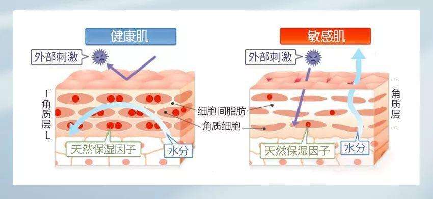 为什么说护肤是门道？换季的5个护肤误区，希望你别中招